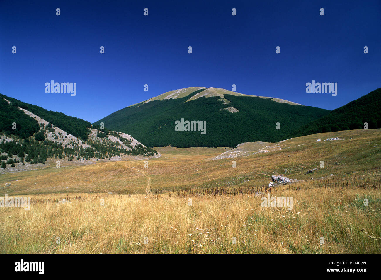 Italien, Basilicata, Nationalpark Pollino, Piano Ruggio und Monte Serra del Prete Stockfoto