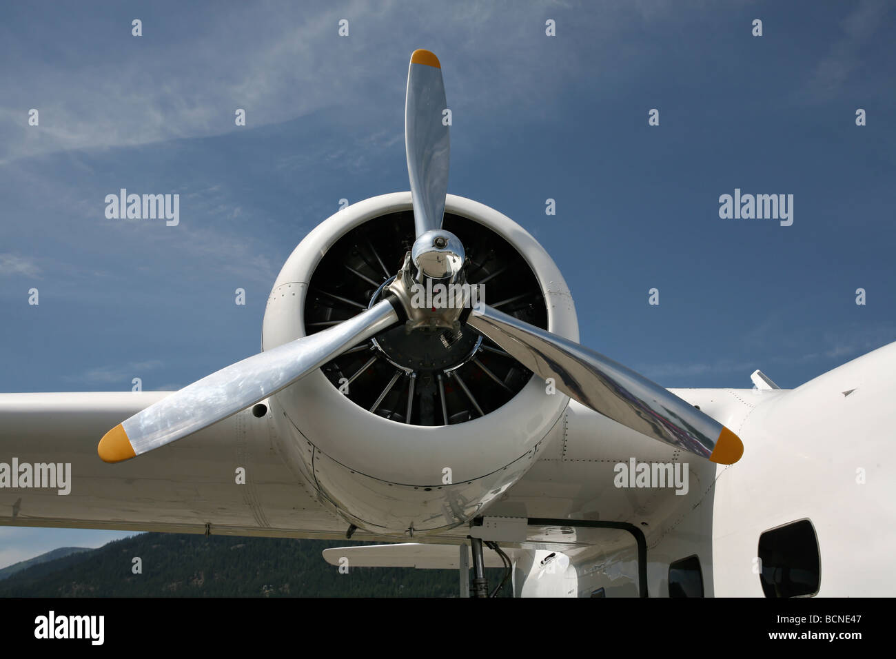 Nahaufnahme einer Vintage rotary Flugzeugmotor. Stockfoto