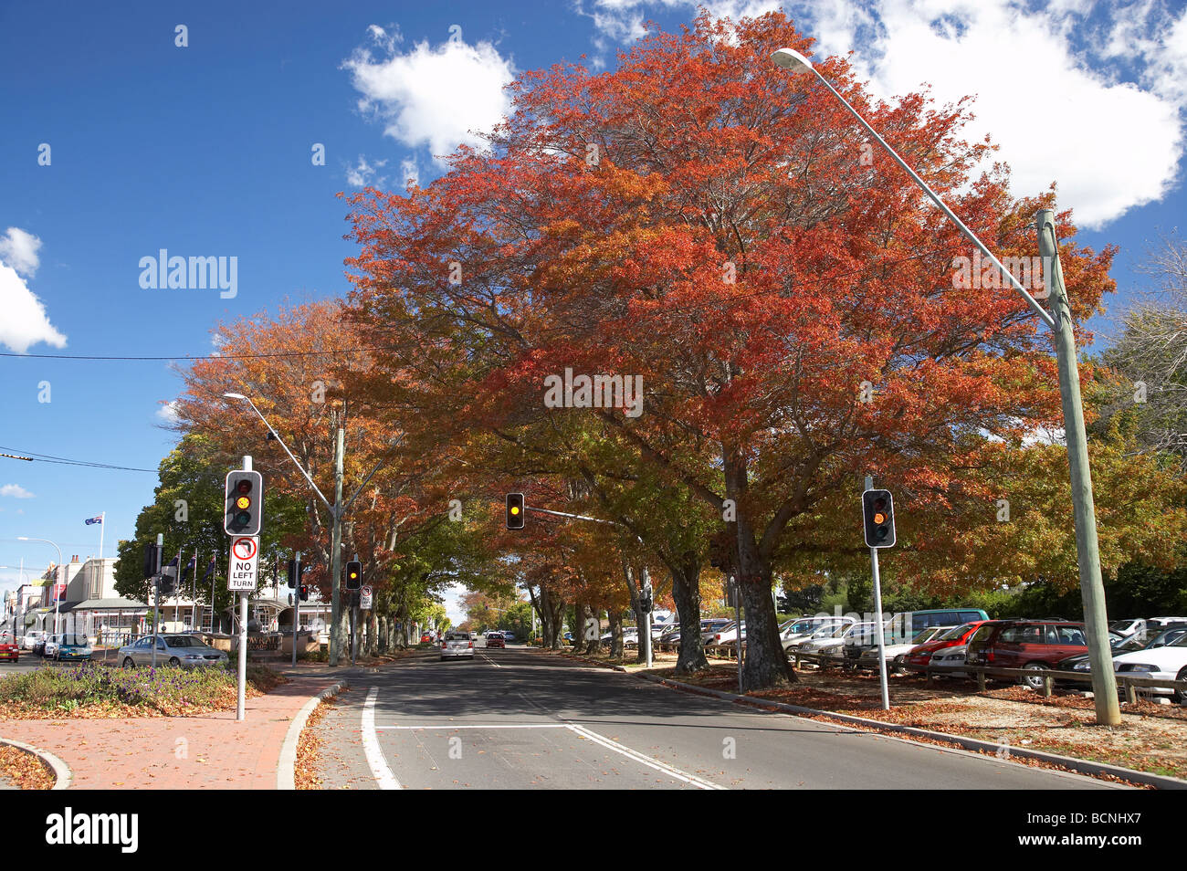 Herbst Farbe Bowral Southern Highlands New South Wales Australien Stockfoto