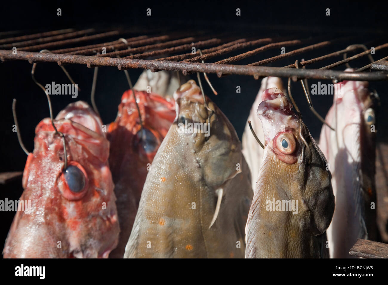Geräucherte Plattfische Steinbutt und Meer Barsch im Hause gemacht Ofen ausräuchern Stockfoto