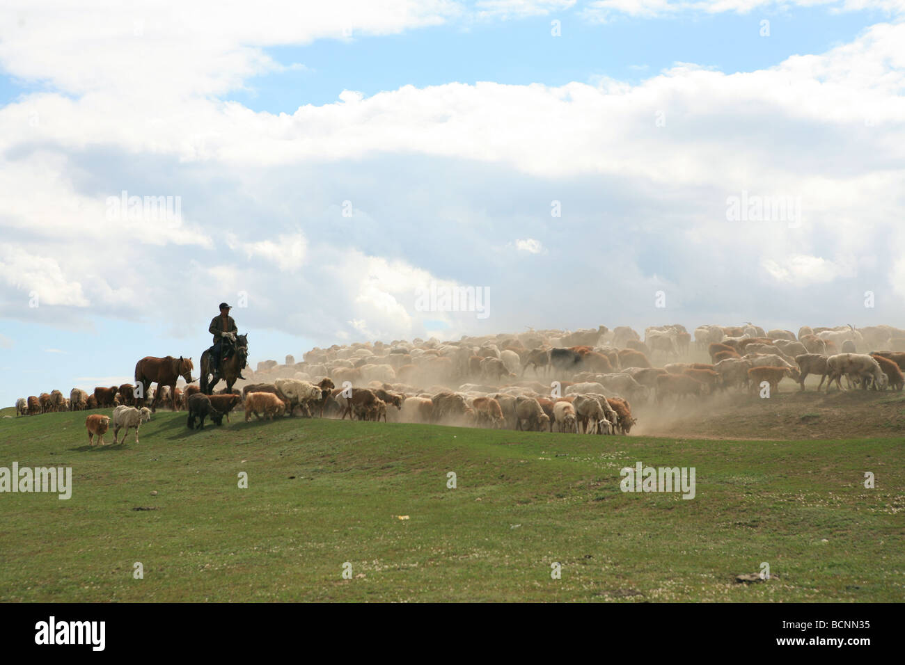 Normadic Menschen hüten Schafe auf der Weide, Kunlun-Gebirge, Xingjiang Uiguren autonomen Region, China Stockfoto