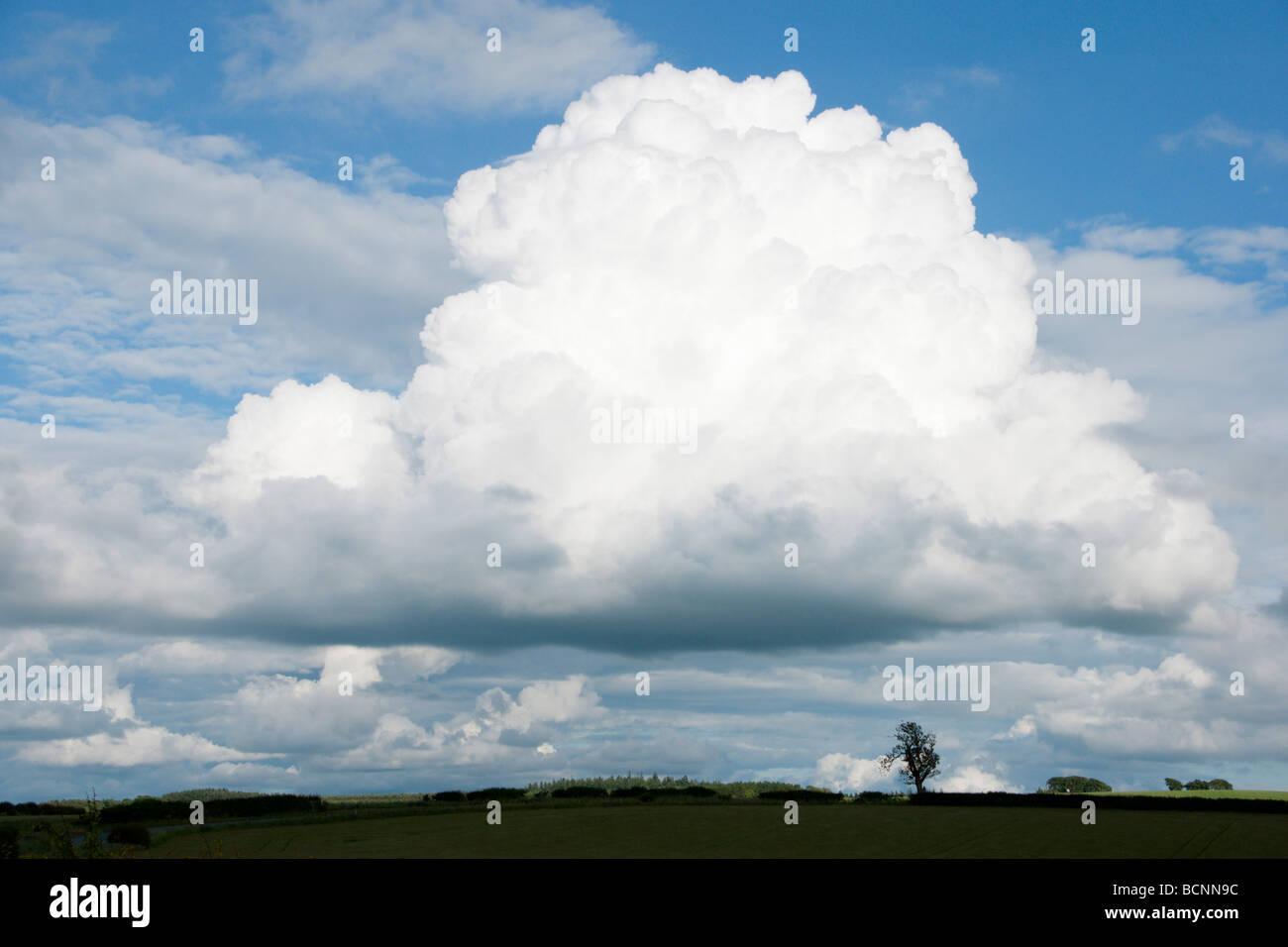 Kumuluswolke Scottish Borders Juni Stockfoto