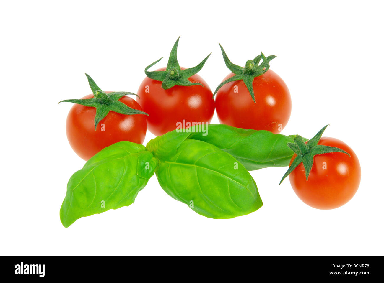 Tomate Und Basilikum-Tomaten und Basilikum 22 Stockfoto