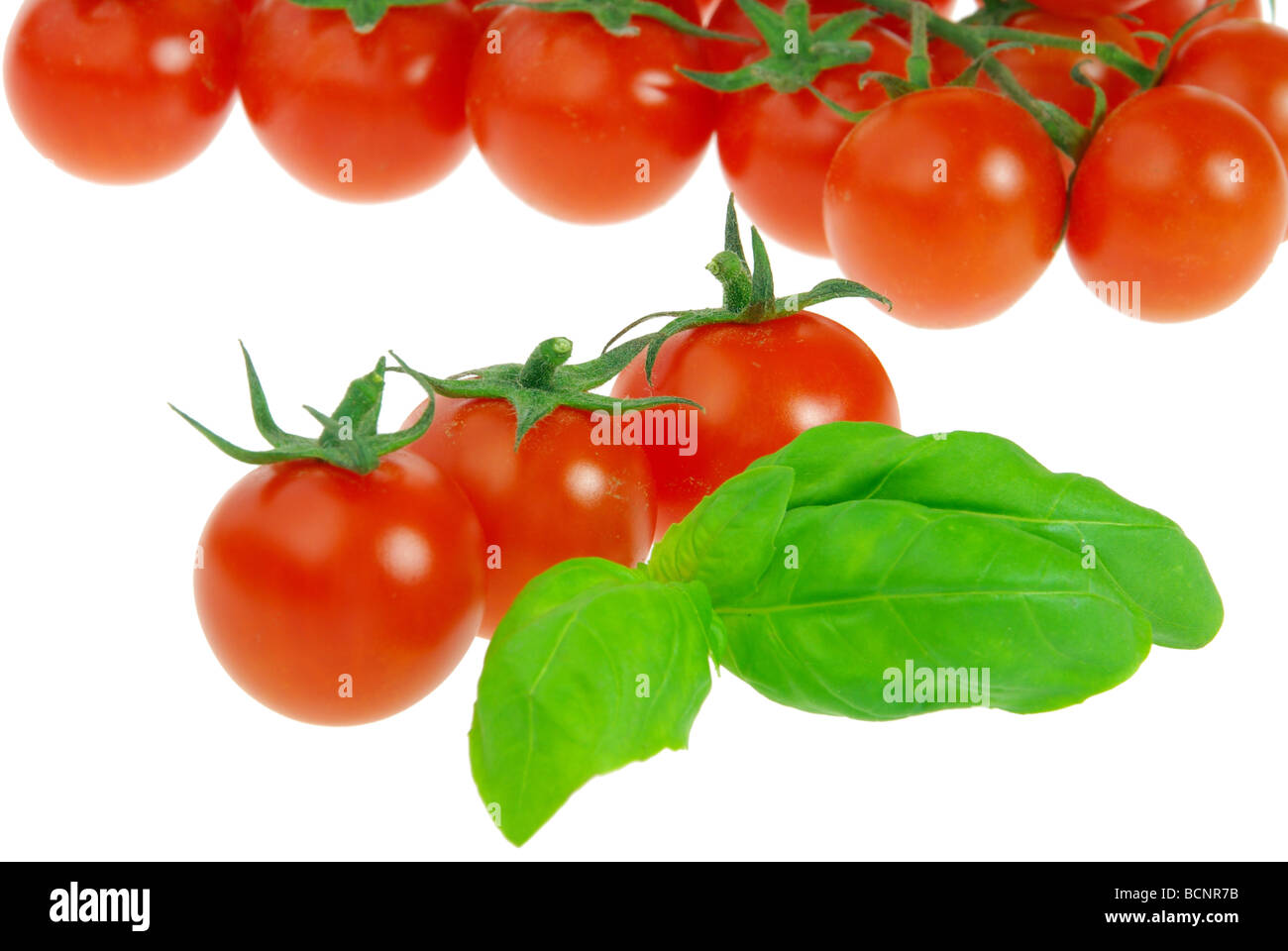 Tomate Und Basilikum-Tomaten und Basilikum 16 Stockfoto