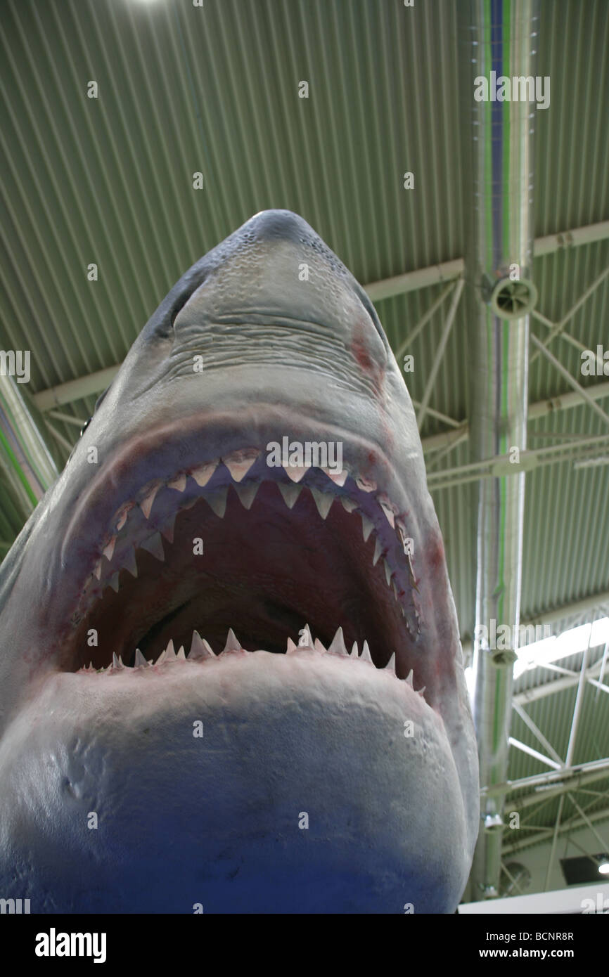 Modell Shark mit scharfen Zähnen auf Messe Stockfoto