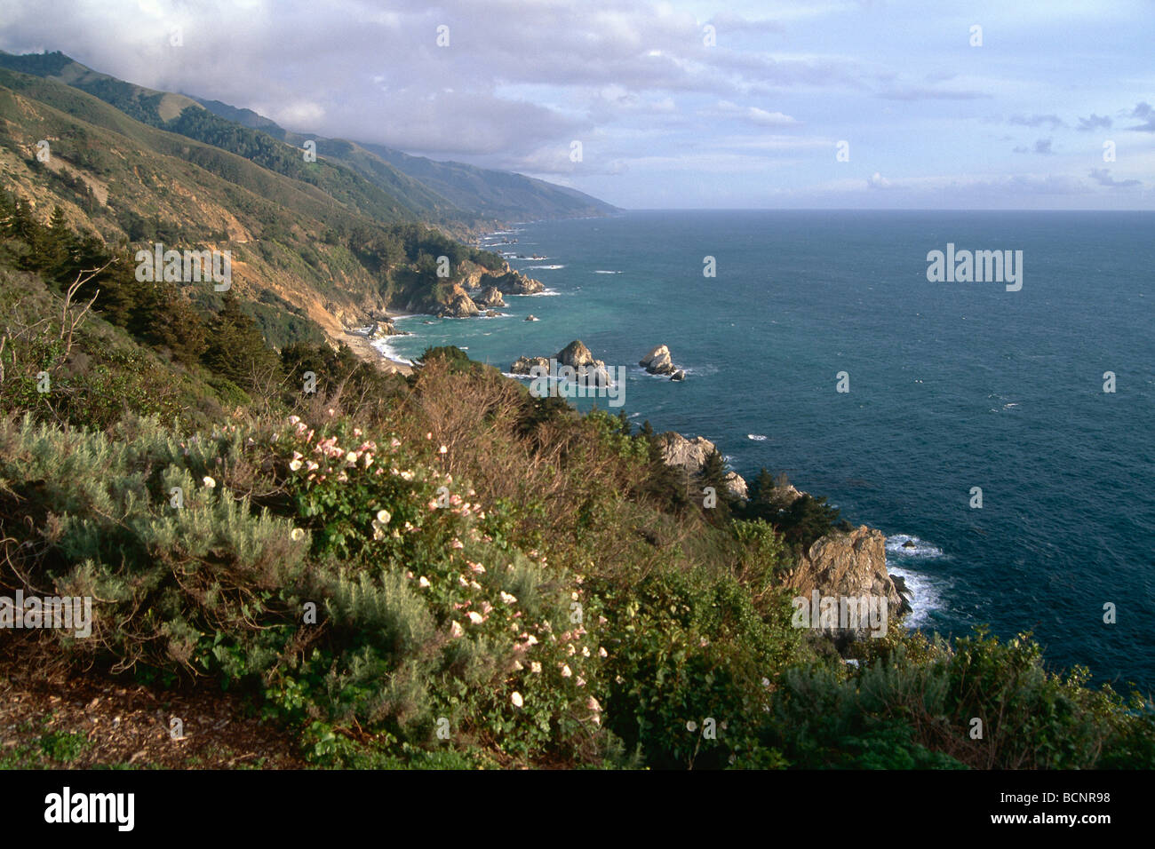 Pazifikküste an Big Sur California Stockfoto