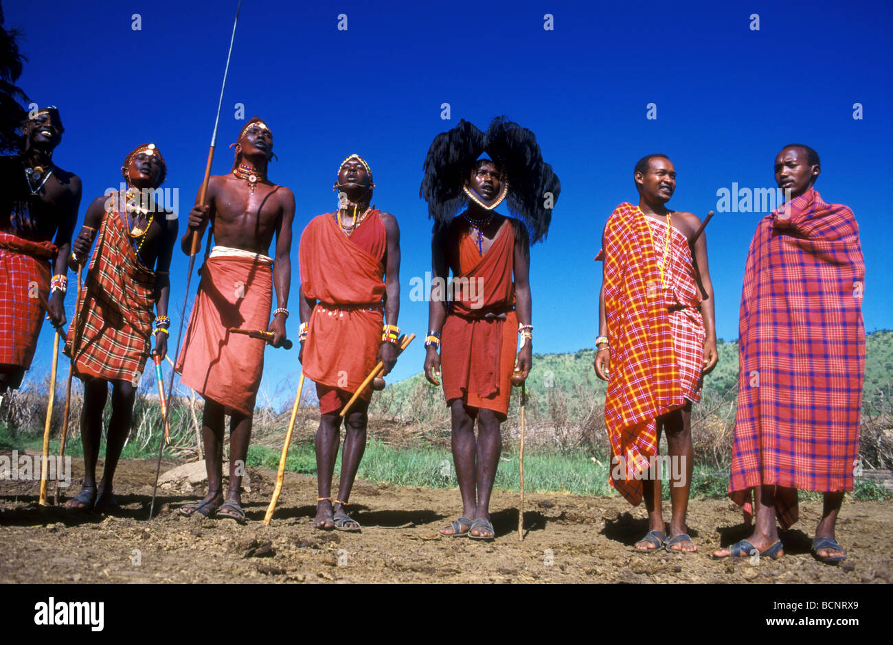 Maasai Krieger Masai Mara Kenia Stockfoto