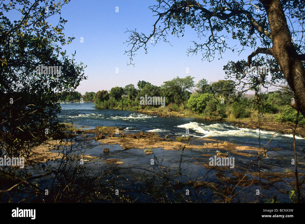 Zimbabwe Sambesi Fluss Stockfoto