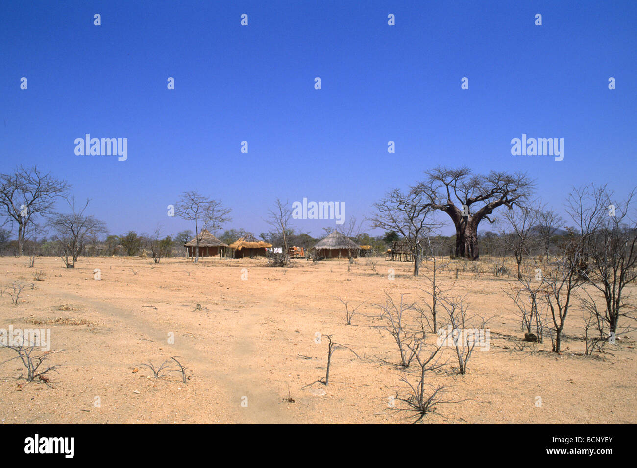 Simbabwe-Landschaft in der Nähe von Hwange Stockfoto