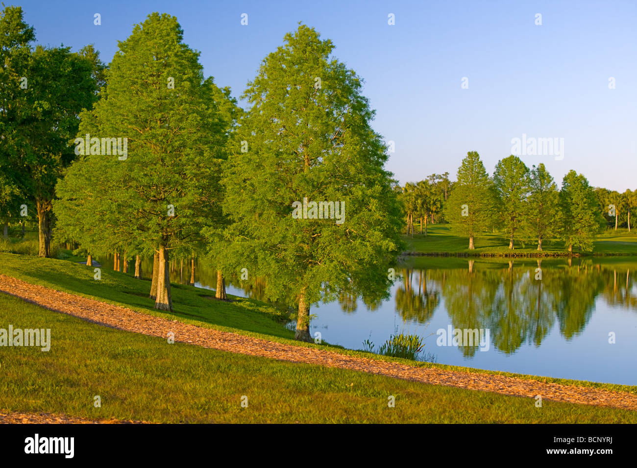 Jogging-Pfad rund um See mit Bäumen Stockfoto