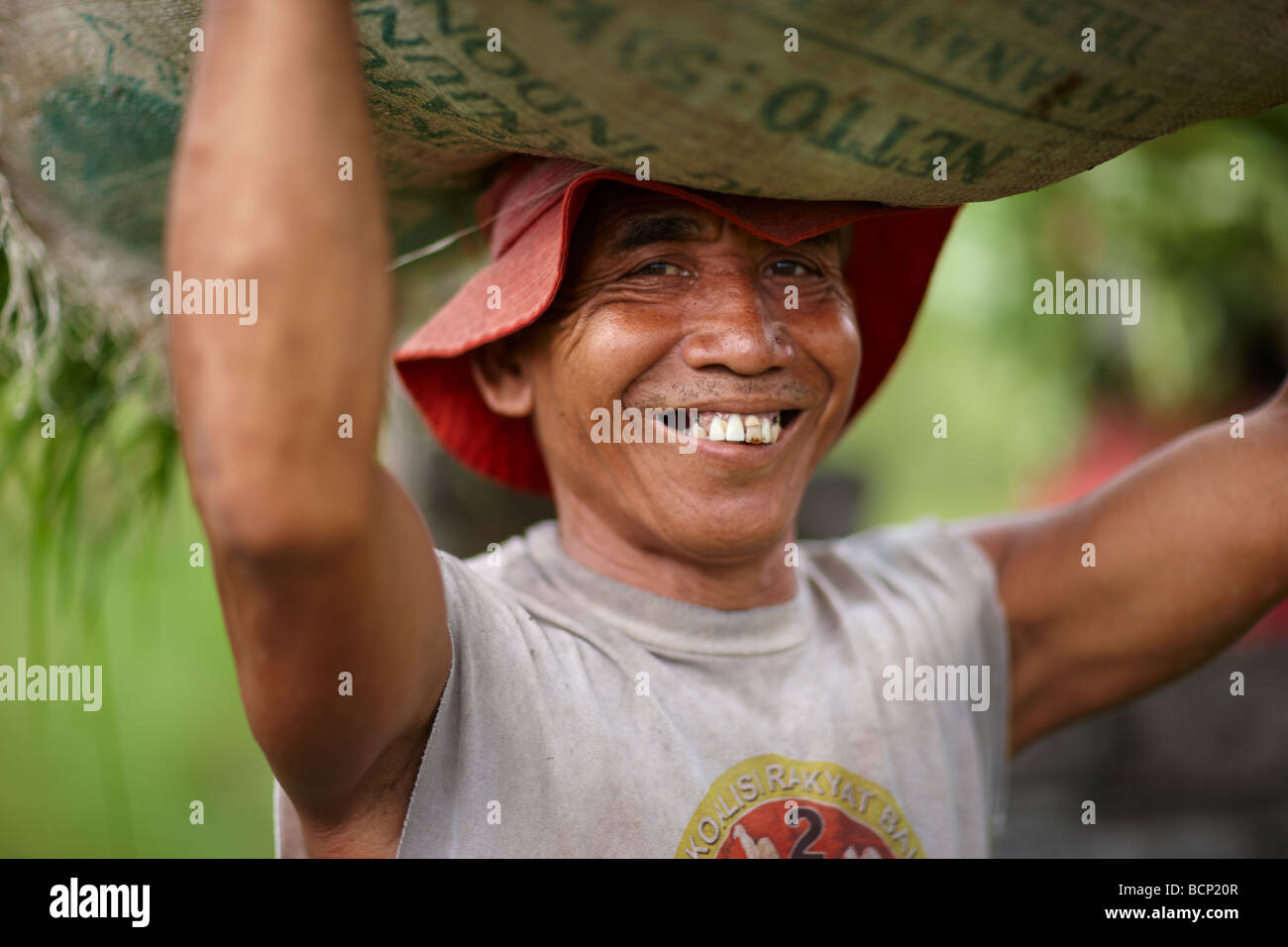 ein Bauer mit einer Plünderung Reis auf dem Kopf, nr Tirtagangga, Bali, Indonesien Stockfoto
