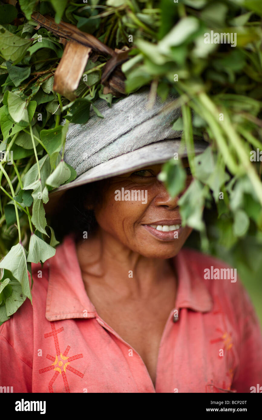 eine Dame mit Kulturen auf dem Kopf, nr Tirtagangga, Bali, Indonesien Stockfoto