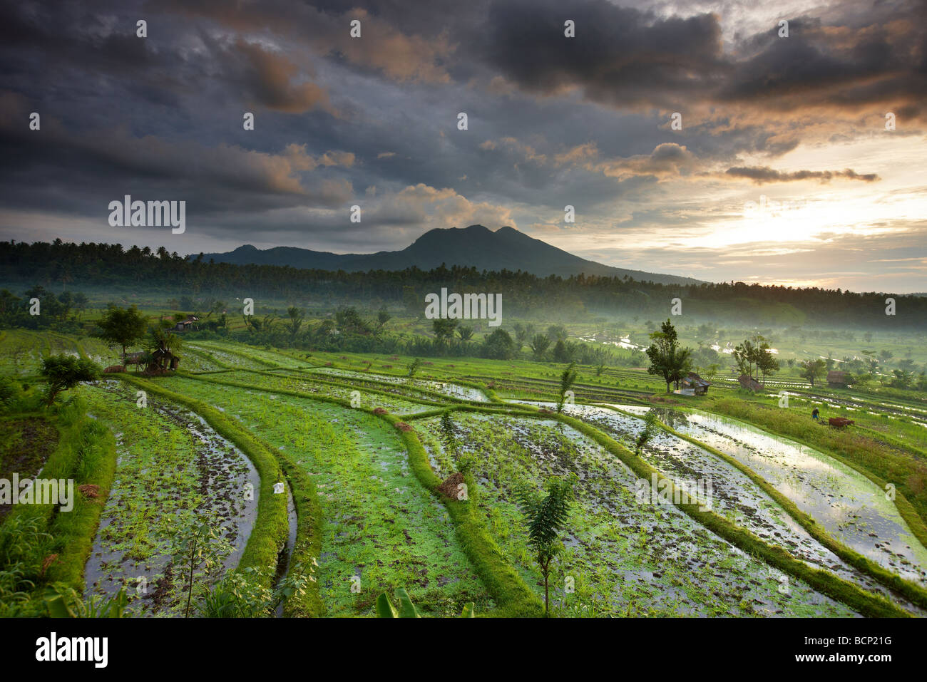 terrassierte Reisfelder in der Nähe von Tirtagangga im Morgengrauen mit der Sonne steigt über die vulkanische Gipfel des Gunung Lempuyang, Bali, Indonesien Stockfoto