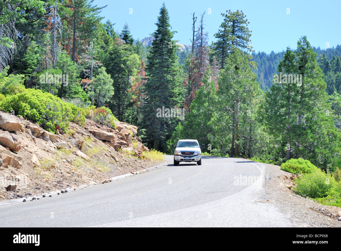 Beasore Straße in der zentralen Sierra Nevada in der Nähe von Oakhurst Zentral-Kalifornien Stockfoto
