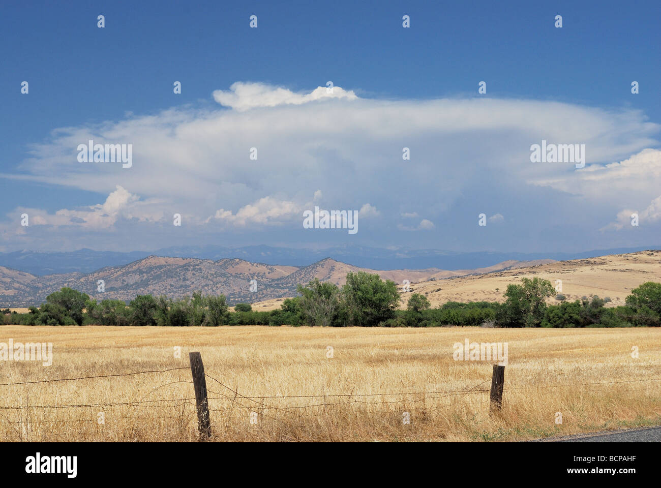 Sturm über den Sierra Nevada Mountains in Zentral-Kalifornien.  Sommerstürme bringen Blitz verursacht Waldbrände. Stockfoto