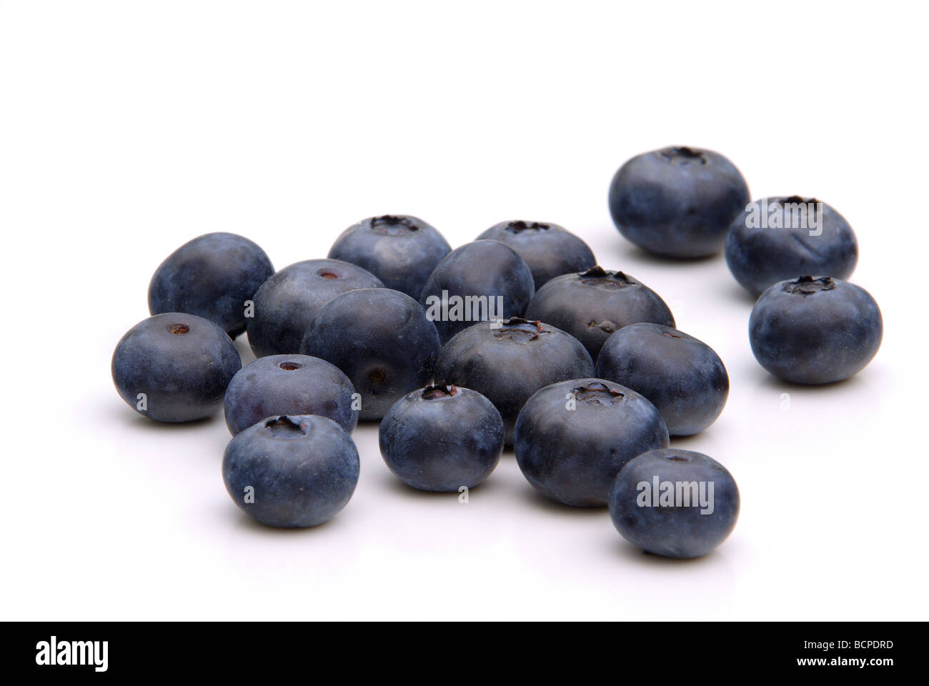 Heidelbeere Blaubeere 05 Stockfoto