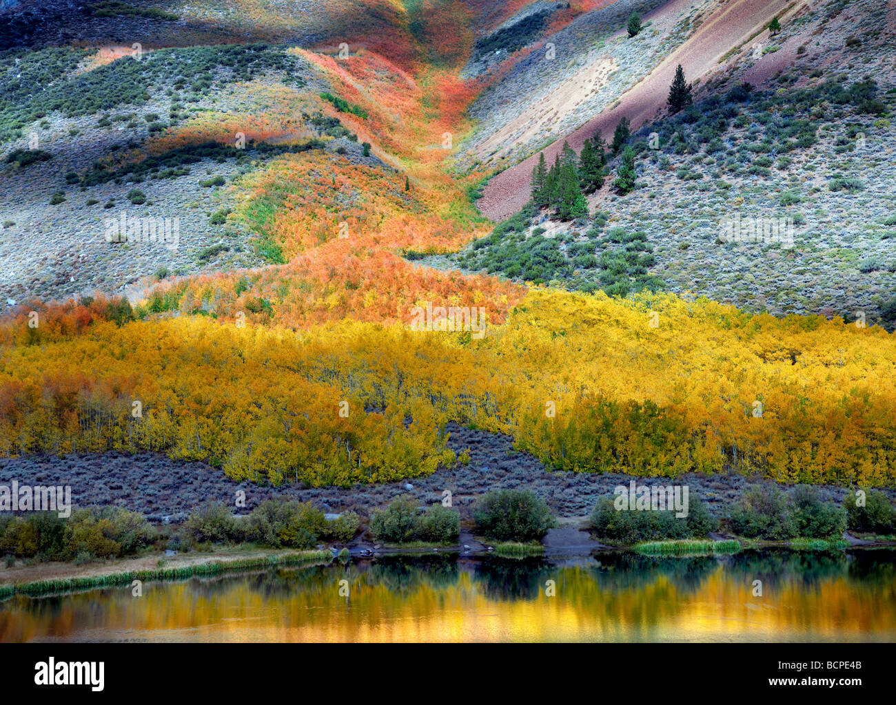 North Lake und Herbstfarben Inyo National Forest Eastern Sierra California Stockfoto