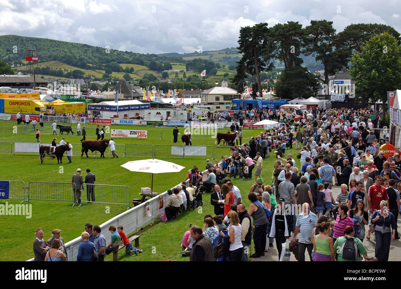 Die Royal Welsh Show, Builth Wells, Powys, Wales, UK Stockfoto