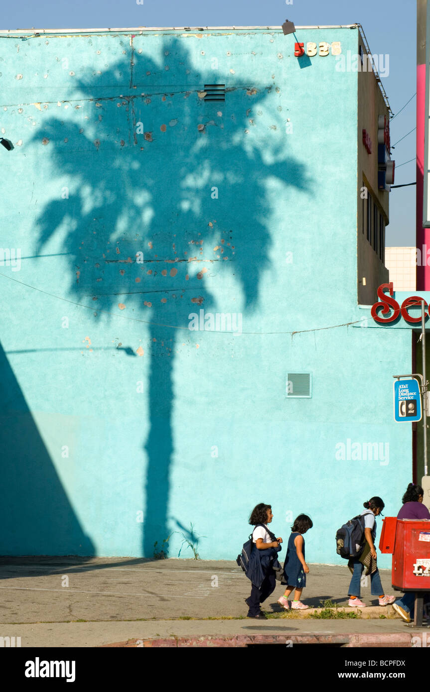School Kids und Palm Tree Shadow on Wall in Hollywood, CA Stockfoto