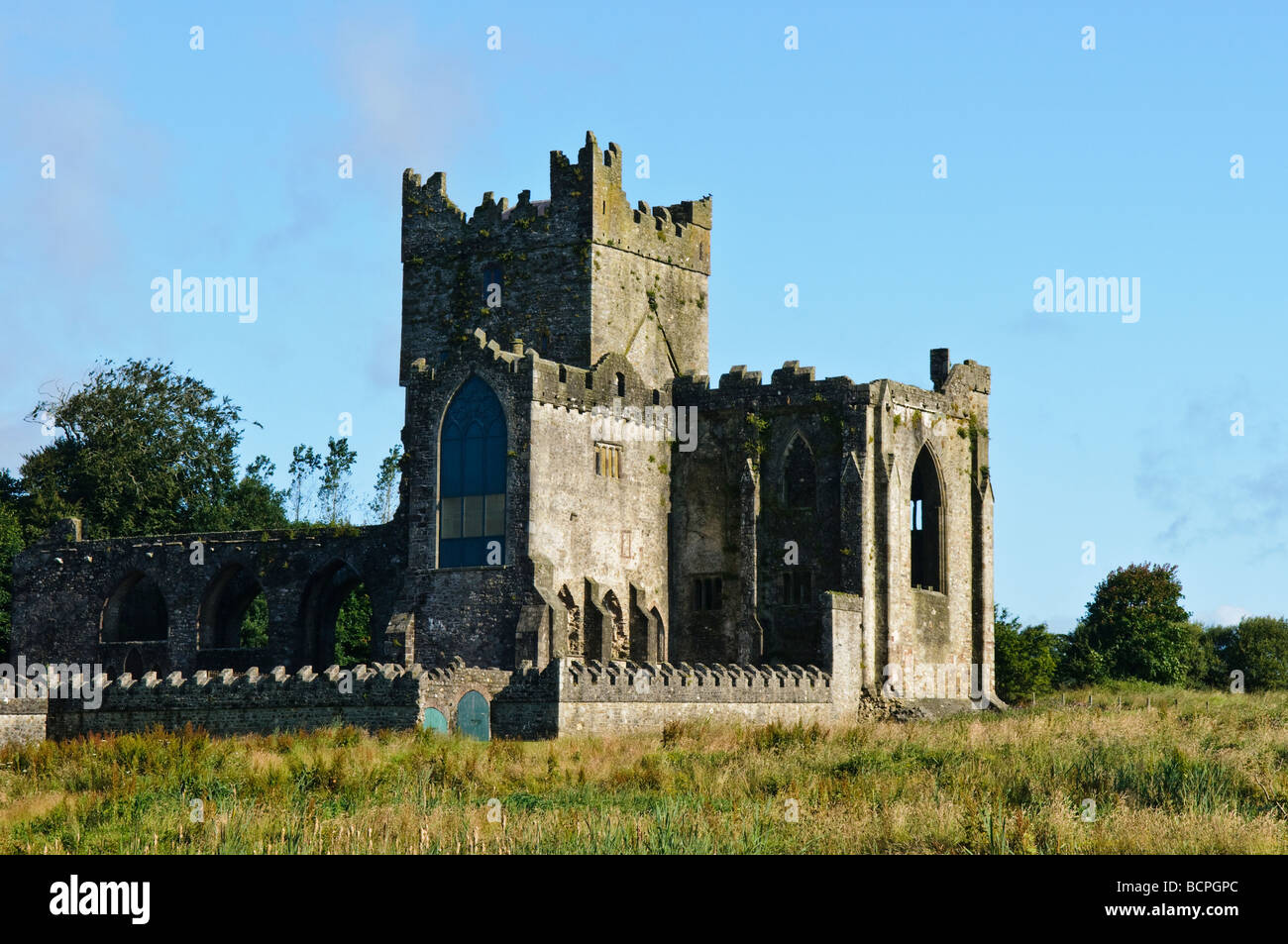 Tintern Abbey, County Wexford Stockfoto