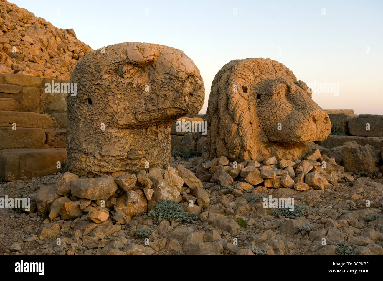 Geschnitzte Steinköpfe am Mount Nemrut Nationalpark in der Türkei Stockfoto