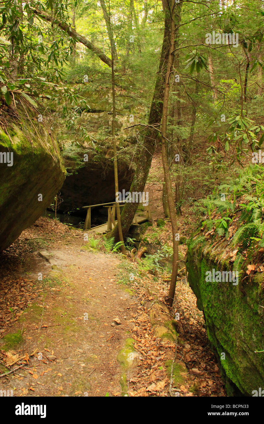 Hemlock Garten Konserve und Trail Pine Mountain State Park Resort Pineville Kentucky Stockfoto