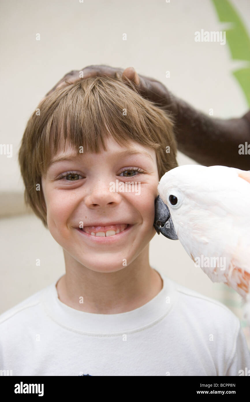 sechs Jahre alter Junge wird von einem Papagei geküsst Stockfoto