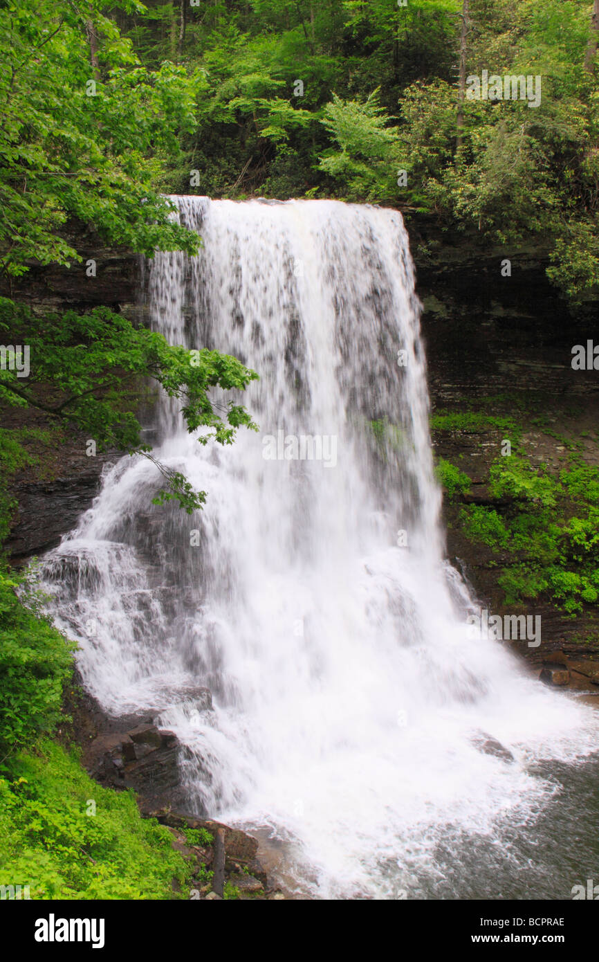 Kaskaden-Wasserfall wenig Stony Creek Pembroke Virginia Stockfoto