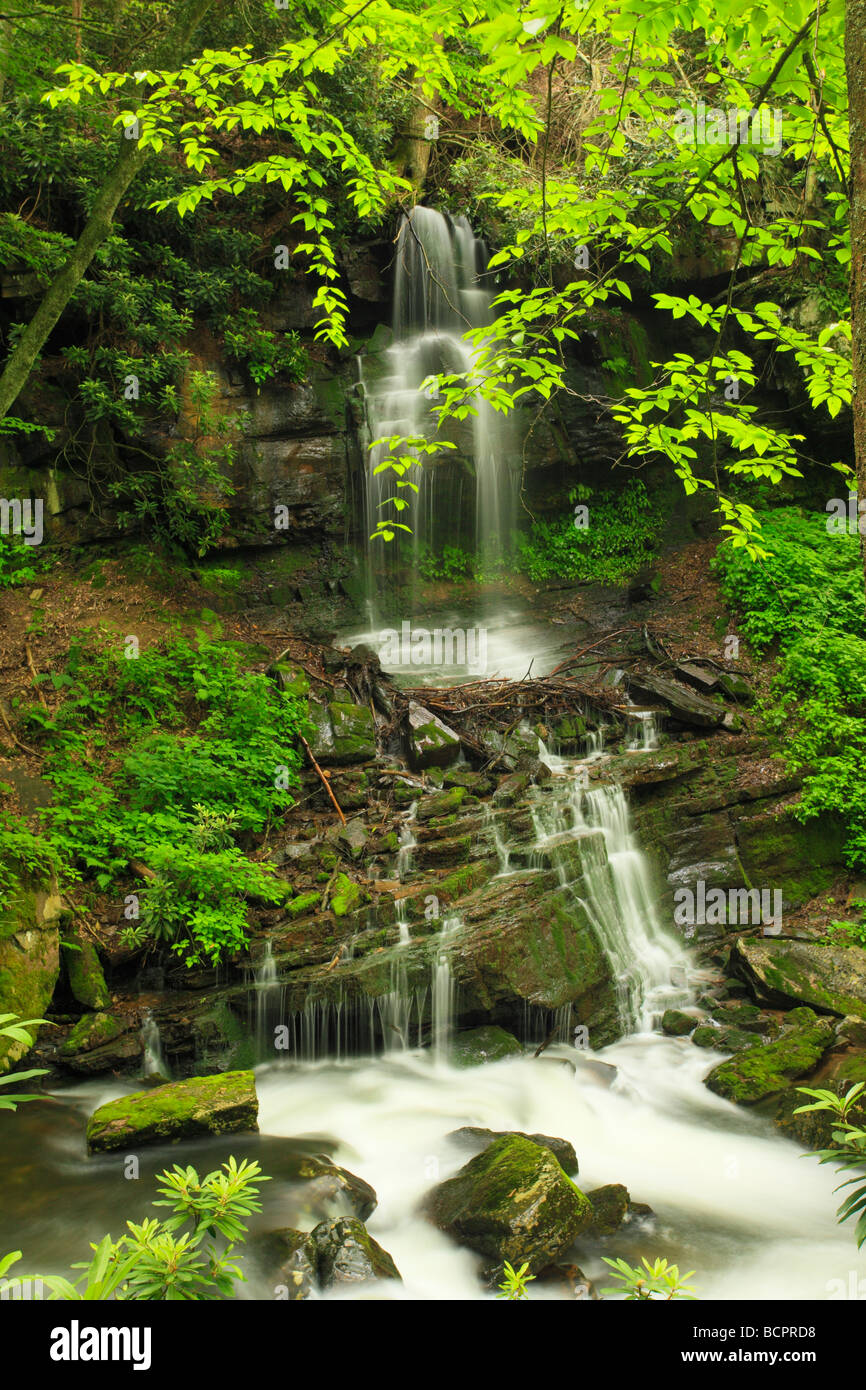 Kleiner Wasserfall kleine Stony Creek Pembroke Virginia Stockfoto