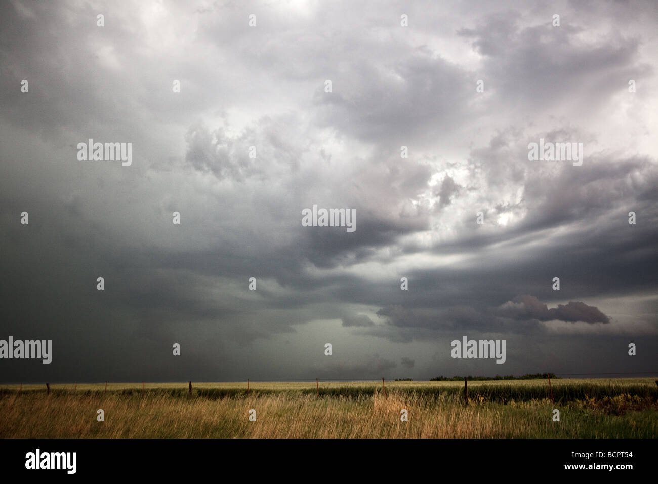 Dunkle Wolken über Präriegras Schuss während Projekt Vortex 2 Projekt Vortex 2 Stockfoto