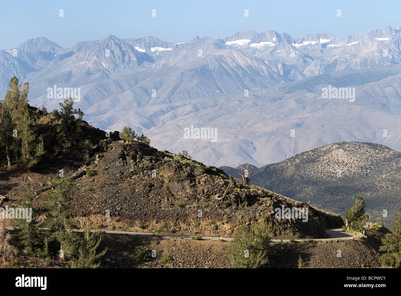 National Scenic Byway Sierra Nevada zurück Ancient Bristlecone Pine Forest Kalifornien USA Stockfoto