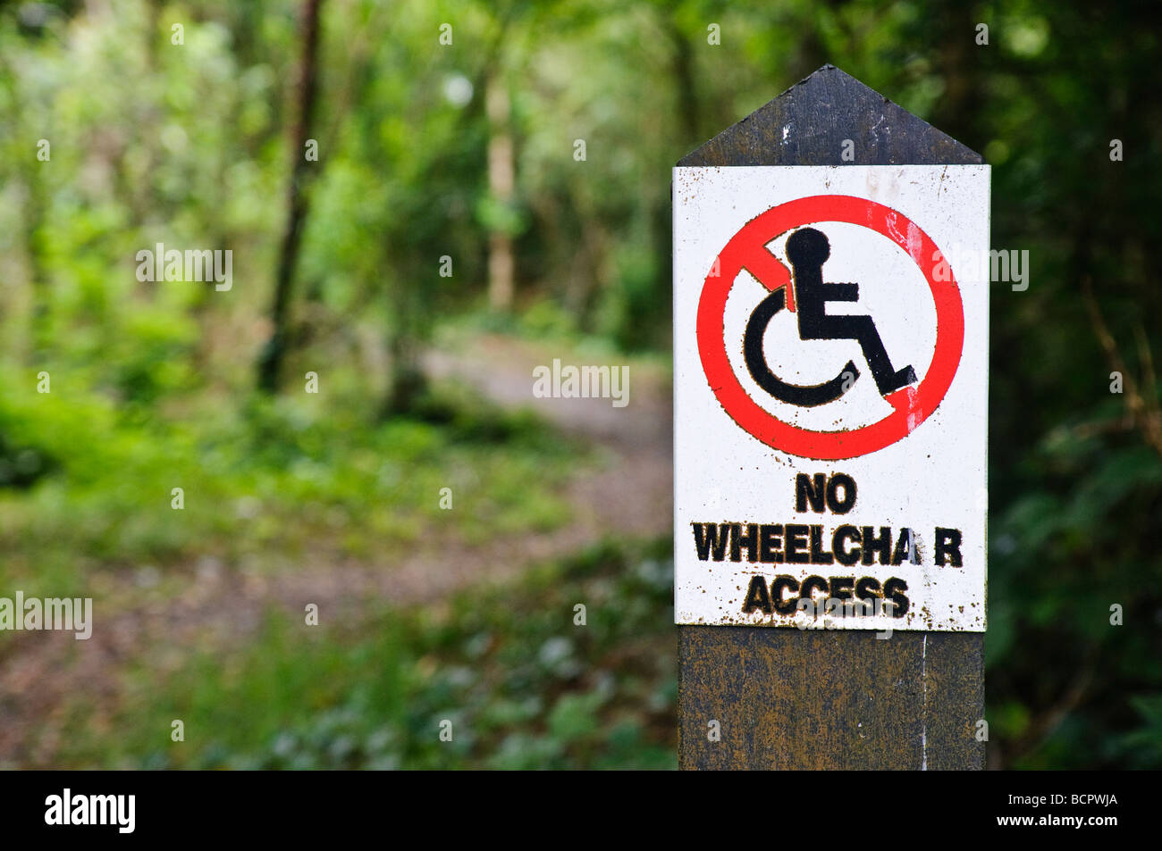Schild Warnung, die Wald-Pfad ist nicht für Rollstuhlfahrer geeignet Stockfoto