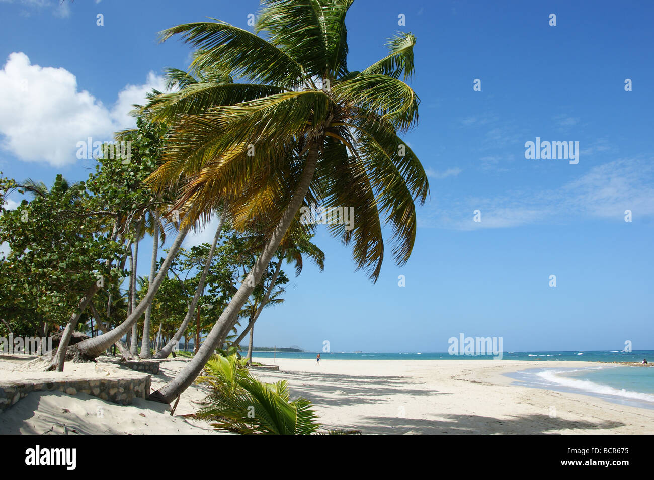 Tropischer Strand in Puerto Plato in der Dominikanischen Republik Stockfoto