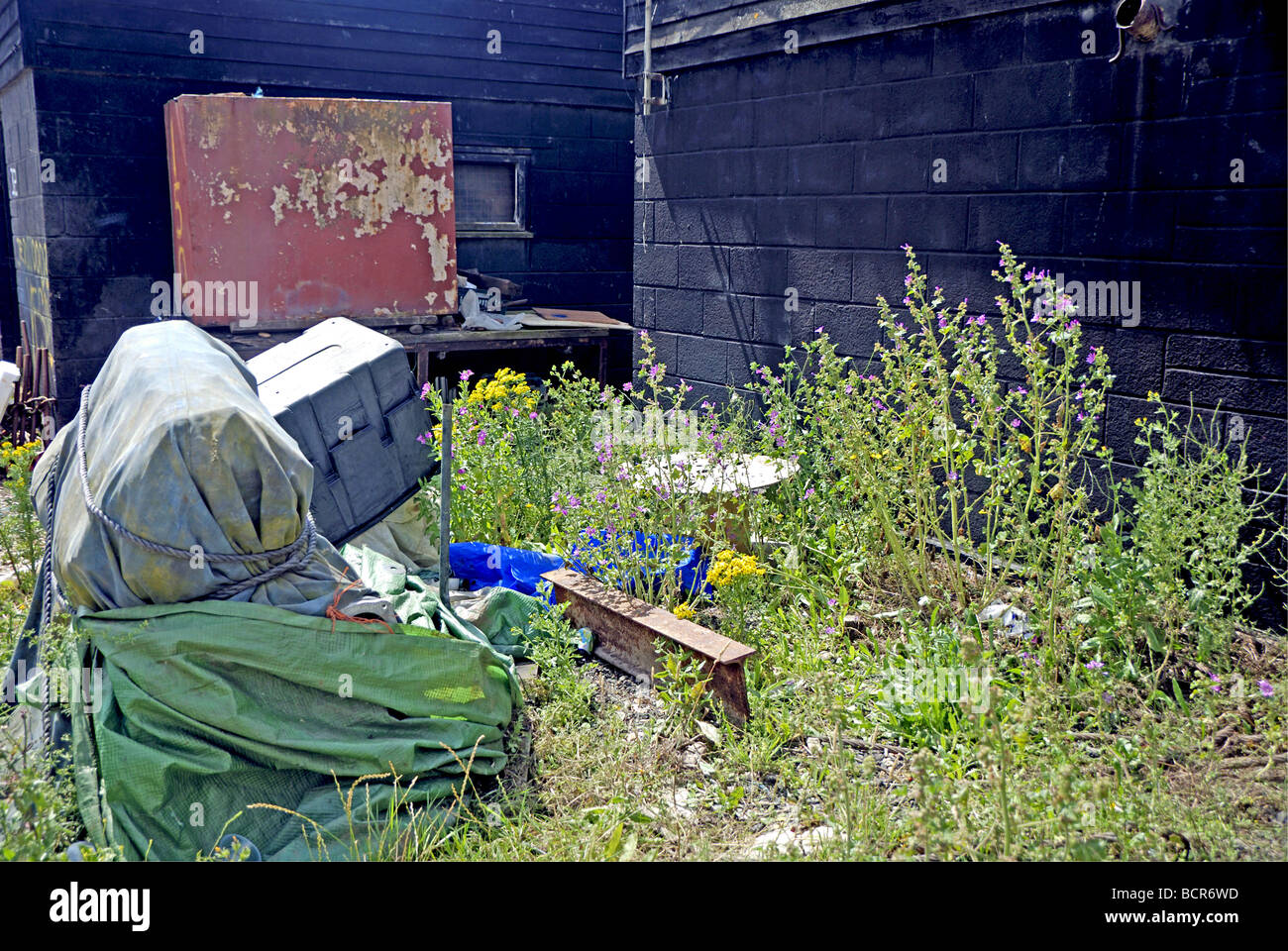 Pflichtverletzung in Hastings Fischmarkt Stockfoto