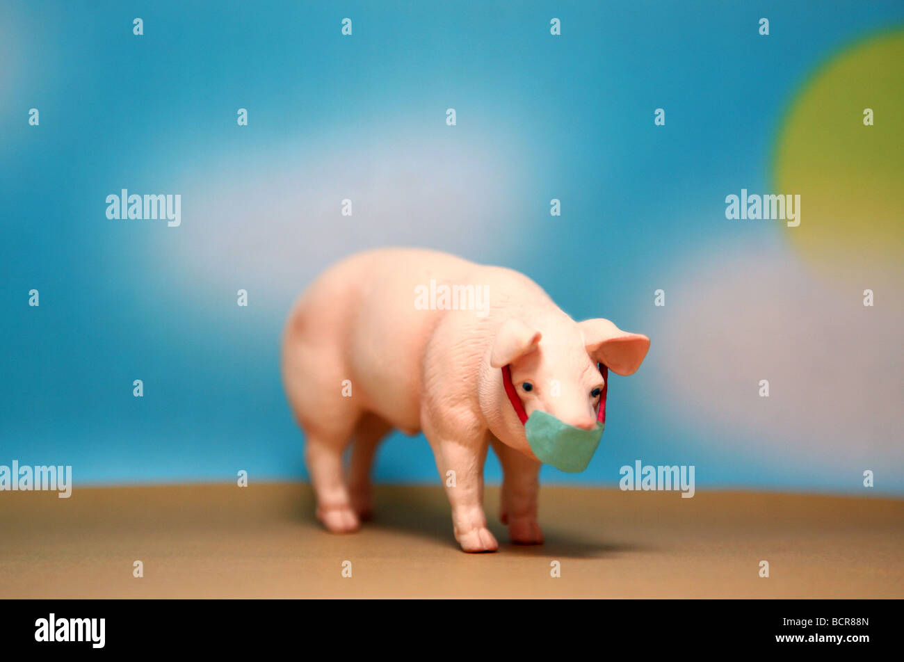 Modell-Schwein mit "Schweinegrippe" Maske Stockfoto