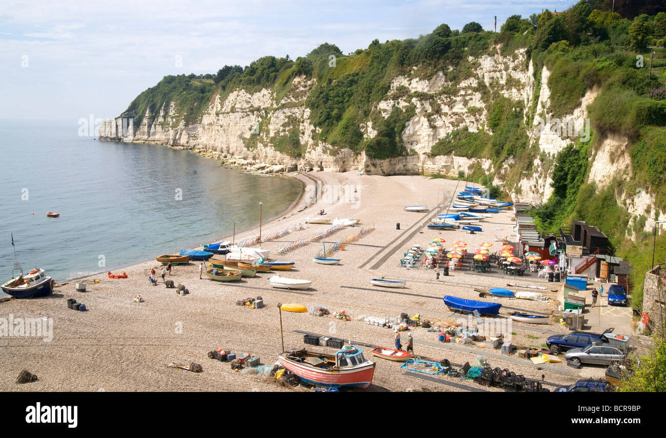 Strand und Klippen, Bier, Devon, England, UK Stockfoto