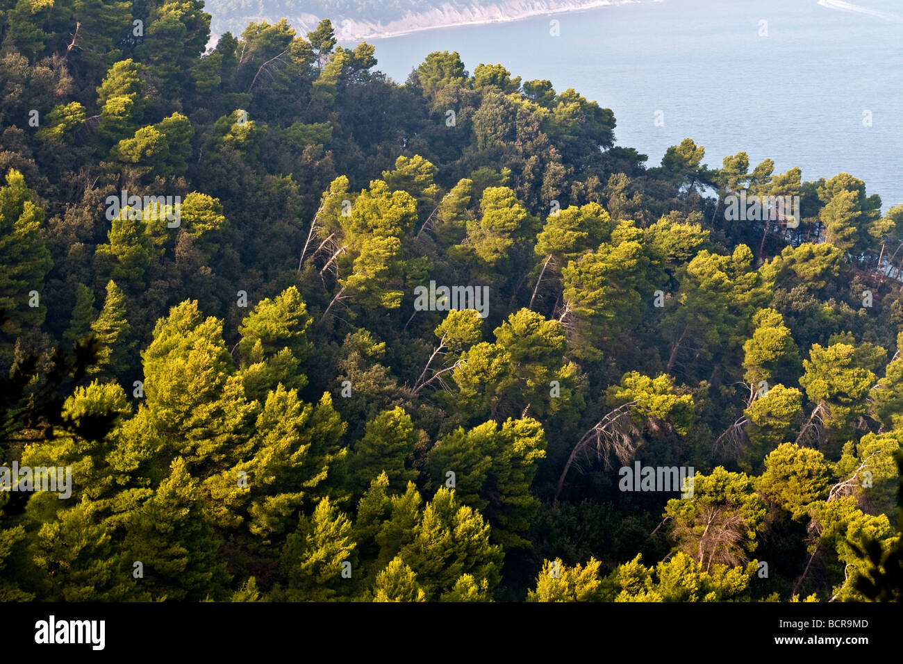 Conero Regionalpark Ancona Italien Stockfoto