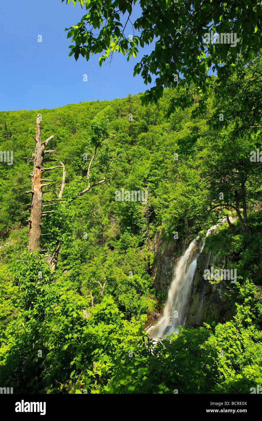 Lewis fällt Shenandoah Nationalpark Virginia Stockfoto