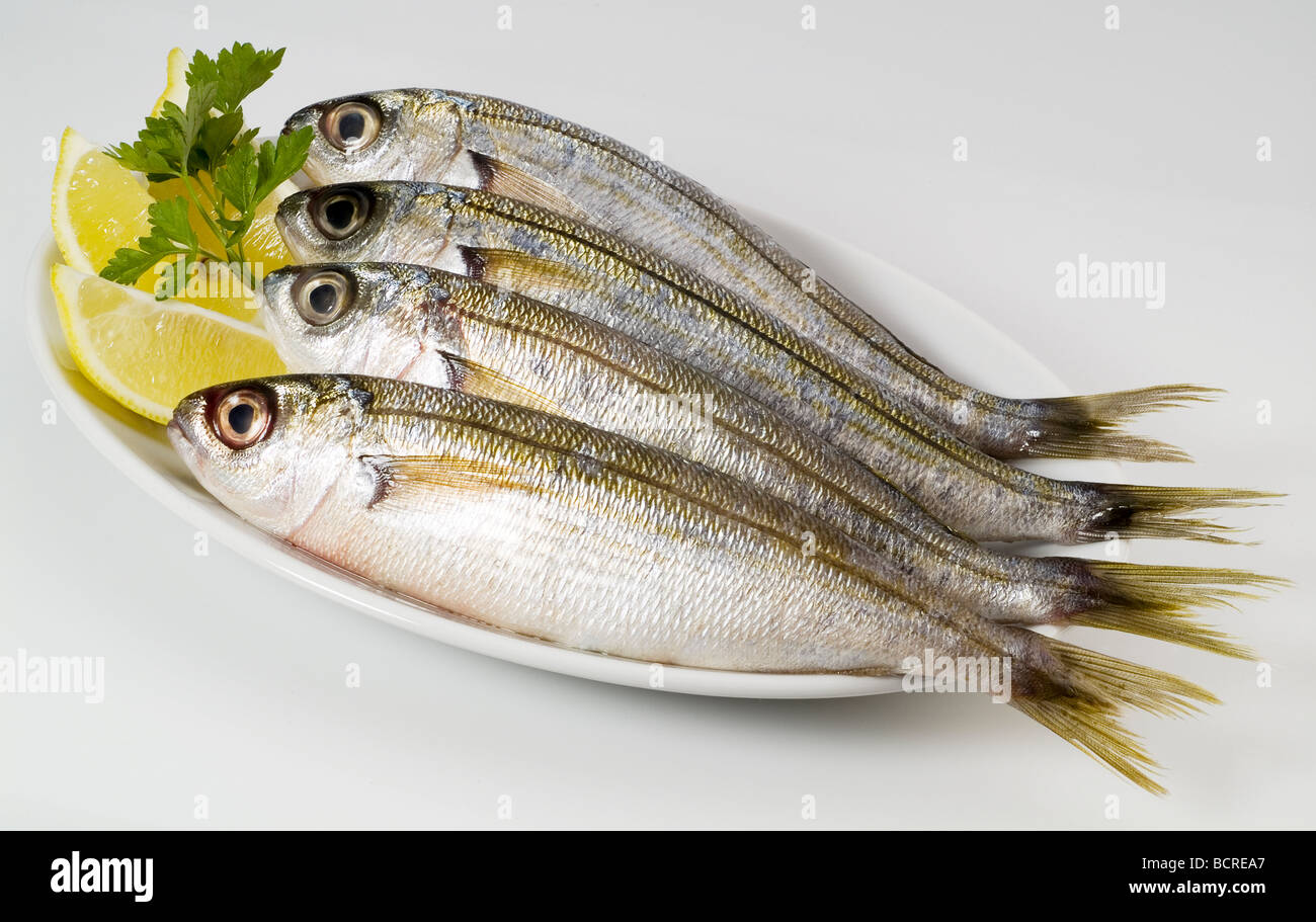 Bogue Brassen Fisch auf einem Teller Stockfoto