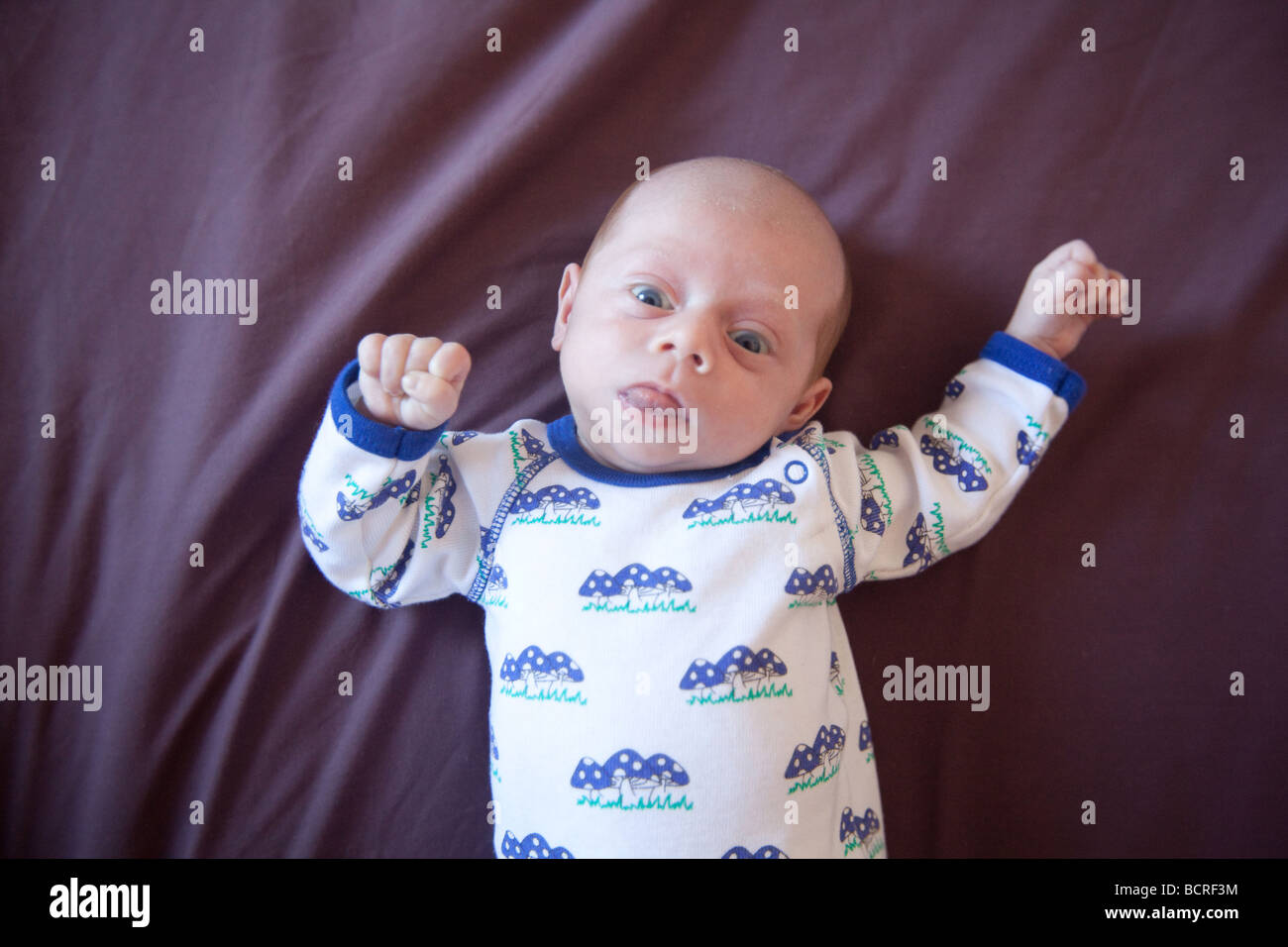 Zwei Monate altes Baby junge auf lila Bettwäsche, London England. Stockfoto