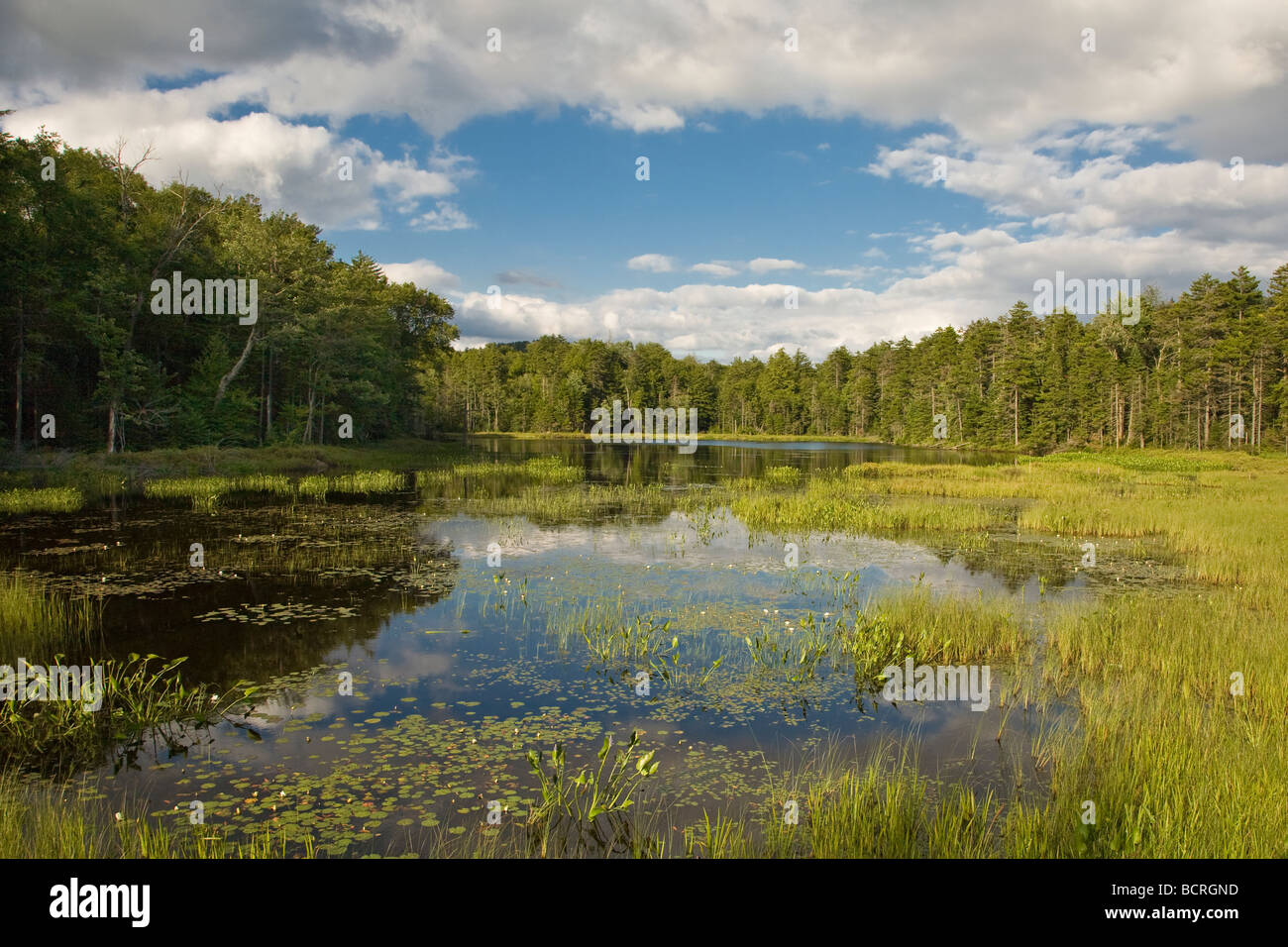 Teich auf Rondaxe Straße in der Nähe von Old Forge in der Adirondack Mountains von New York zu fliegen Stockfoto