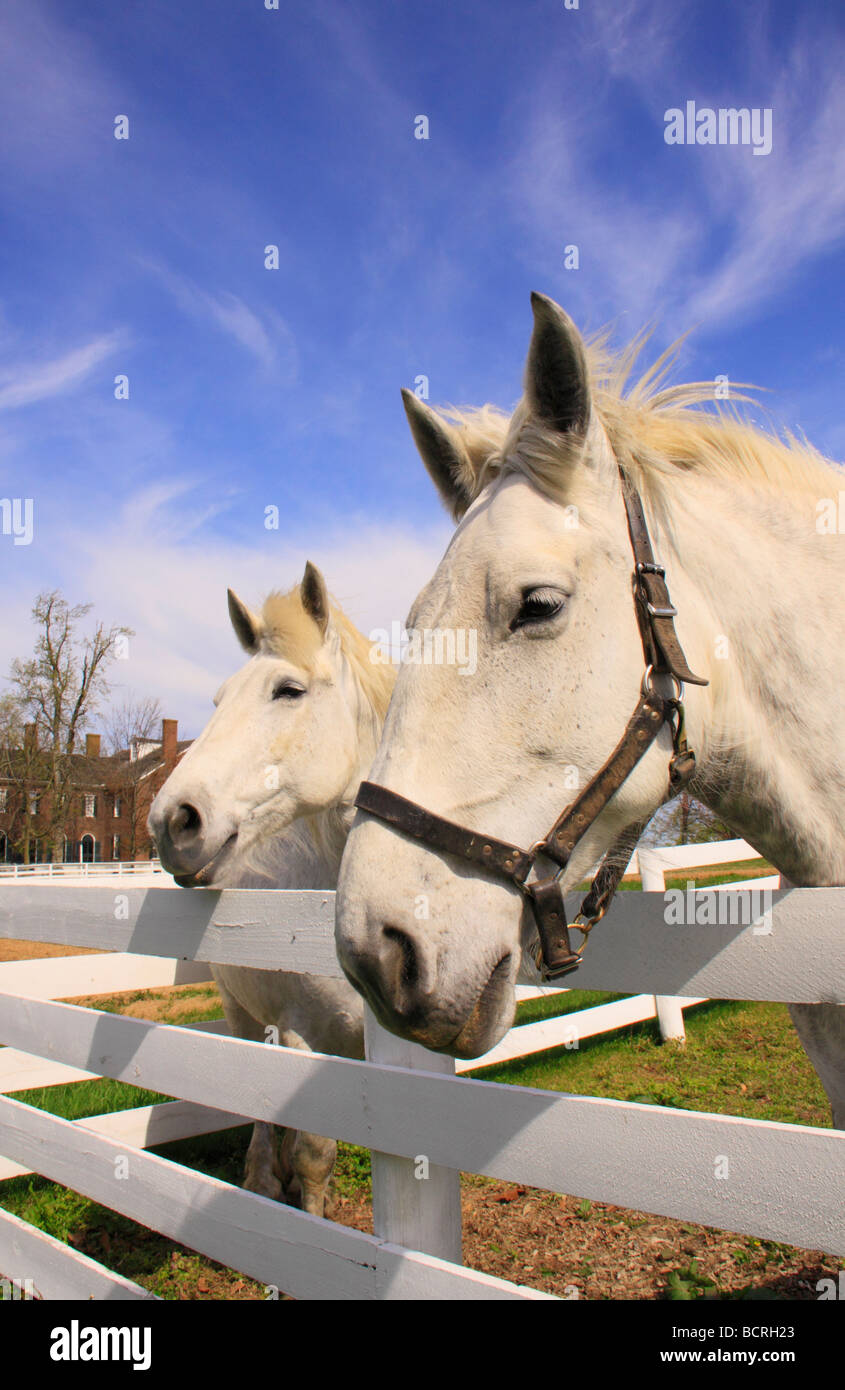 Arbeitest du Shaker Village of Pleasant Hill unsere Kentucky für Pferde Stockfoto