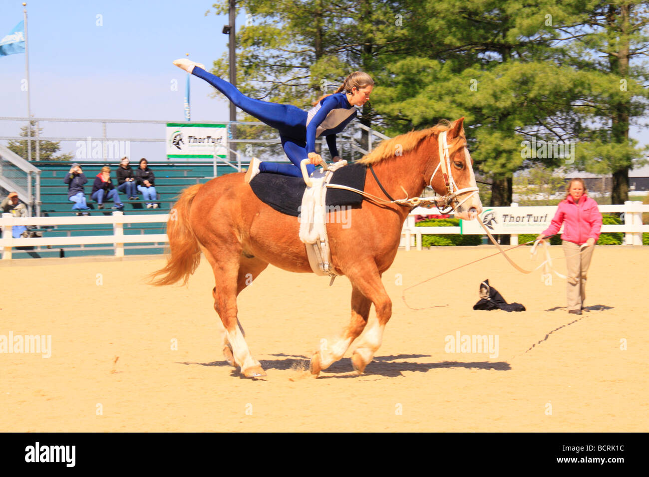 Reiter und Pferd Voltigieren Gefährts während der Parade der Rassen Kentucky Horse Park Lexington Kentucky Stockfoto Reiter und Pferd Voltigieren Gefährts während der Parade der Rassen Kentucky Horse Park Lexington Kentucky Stockfoto