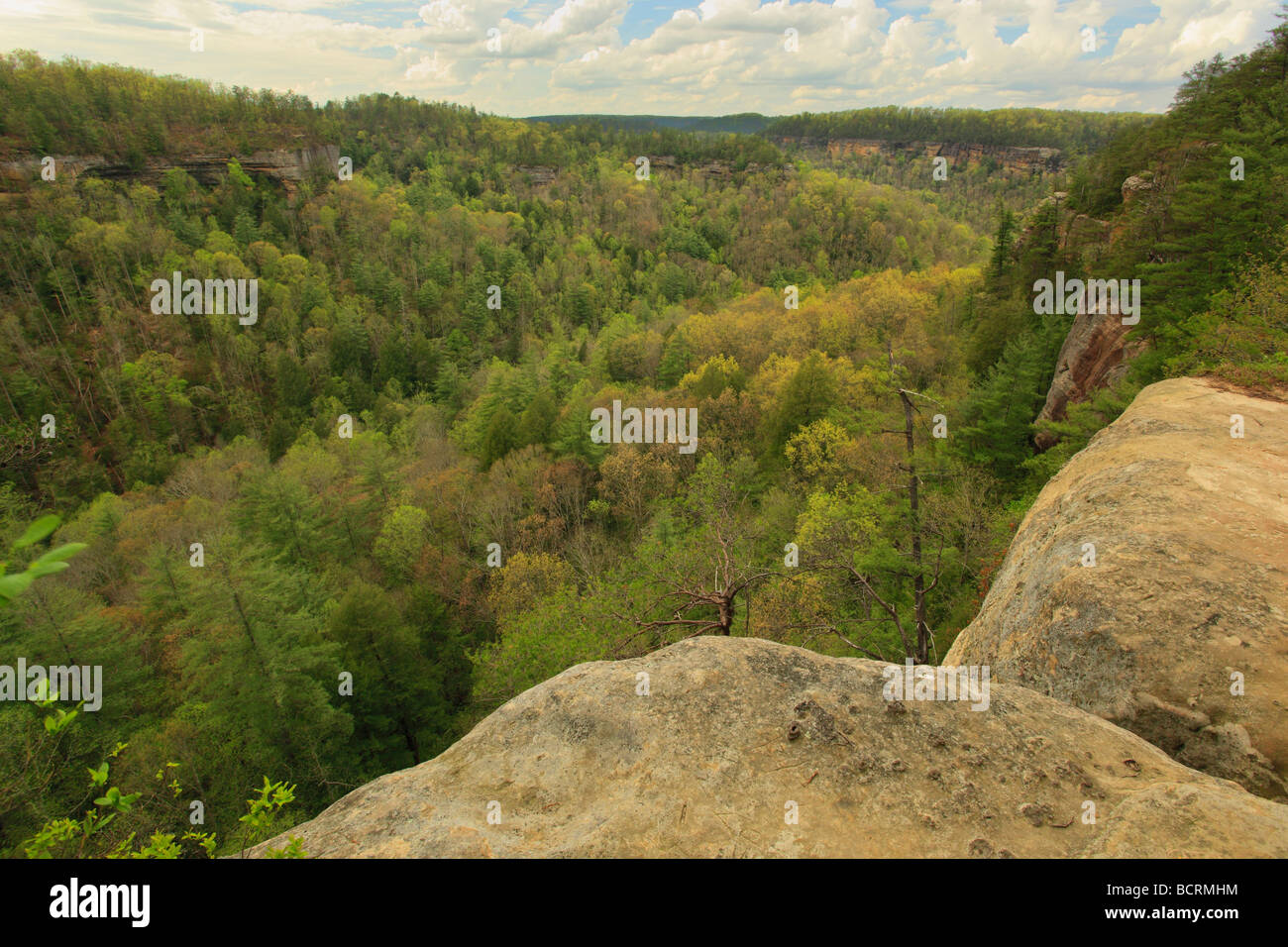 Blick ins Teufel s Canyon Red River Gorge geologischen Bereich Slade Kentucky Stockfoto