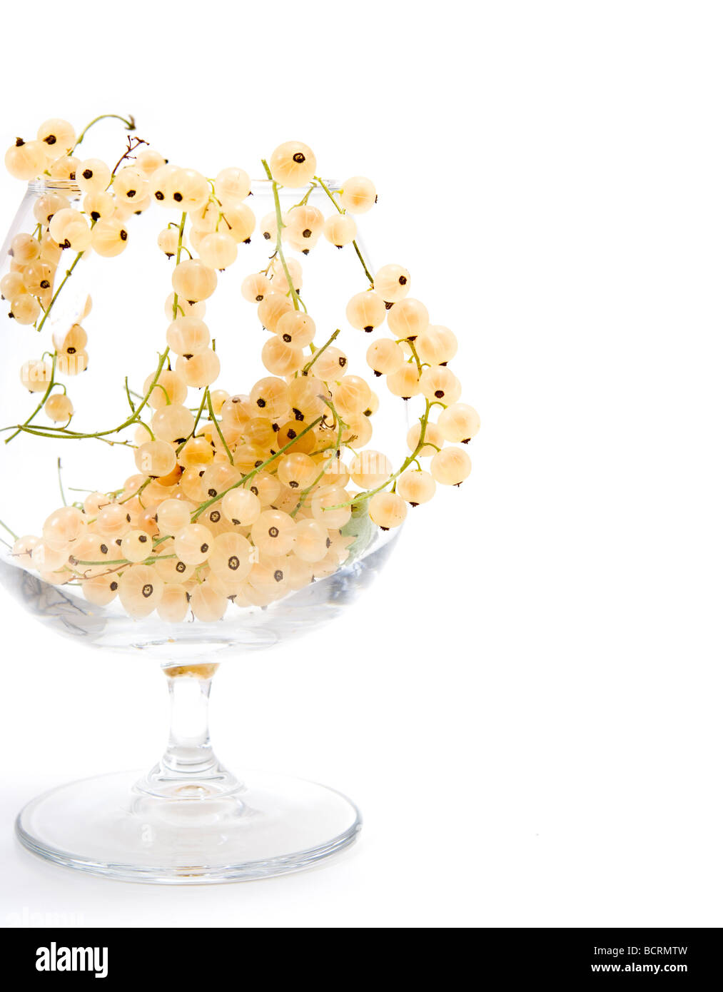 weiße Johannisbeere im Weinglas Stockfoto