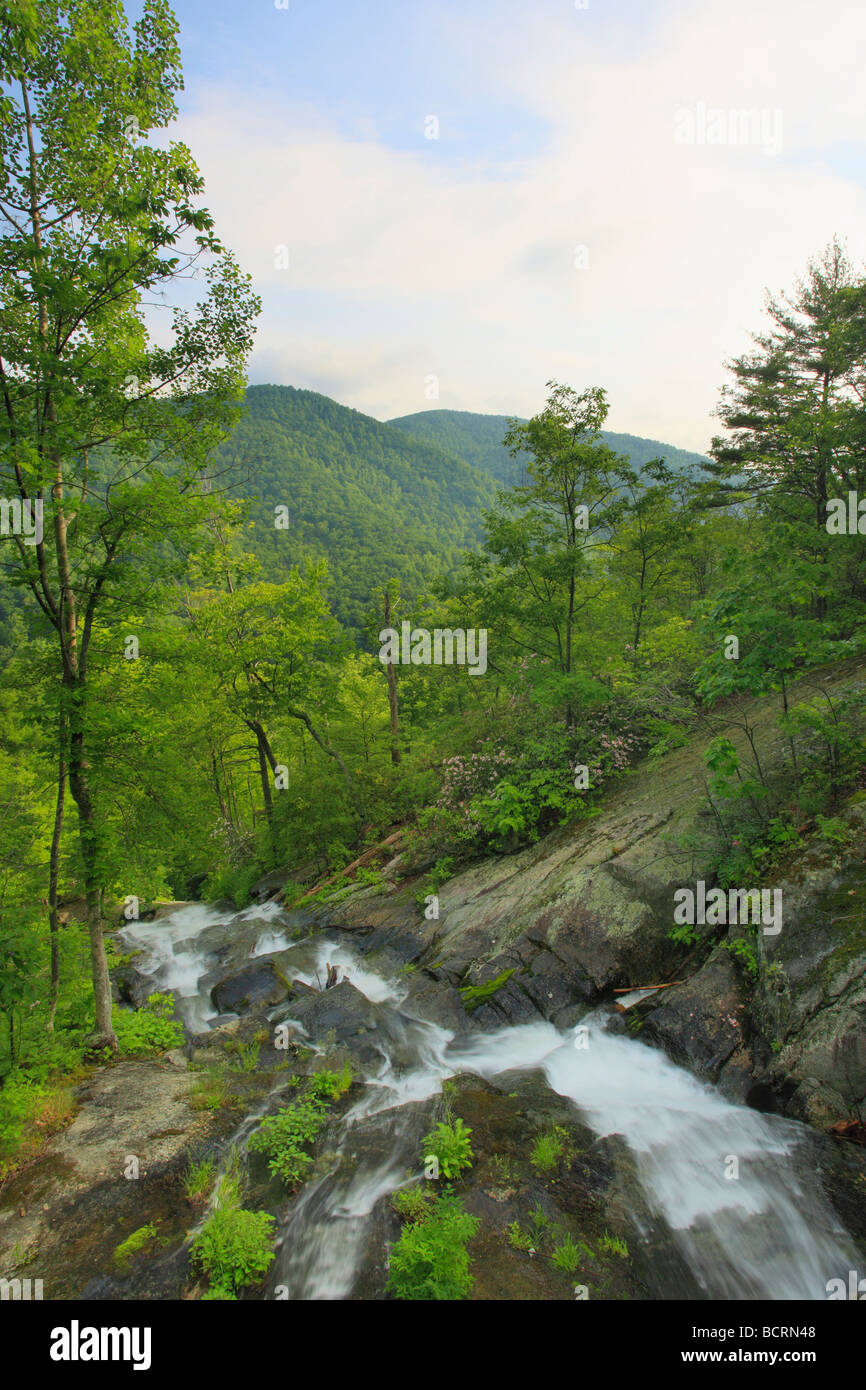 Crabtree fällt Virginia Blue Ridge Parkway Stockfoto