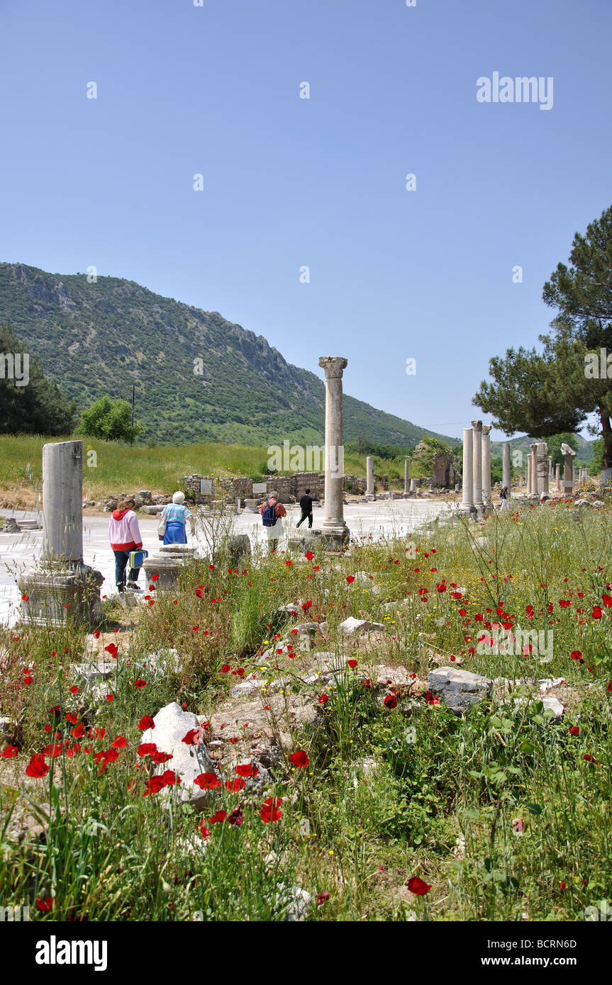 Säulenstraße, antike Stadt Ephesus, Selcuk, Provinz Izmir, Republik Türkije Stockfoto