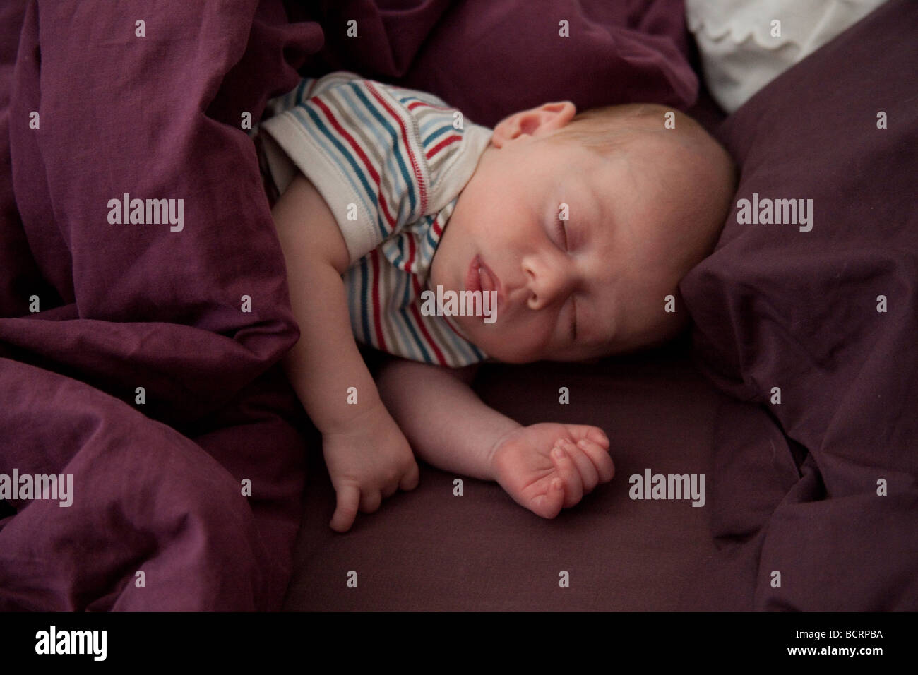 Niedliche Babyjungen (drei Monate) in lila Bettwäsche schlafen. Stockfoto