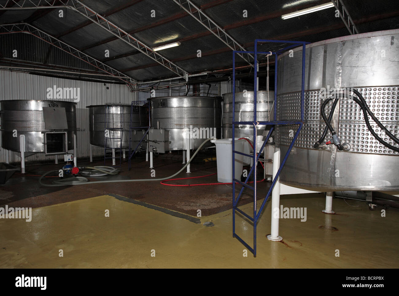 Weinherstellung Tanks an Tyrrells Weine Hunter Valley, Australien Stockfoto