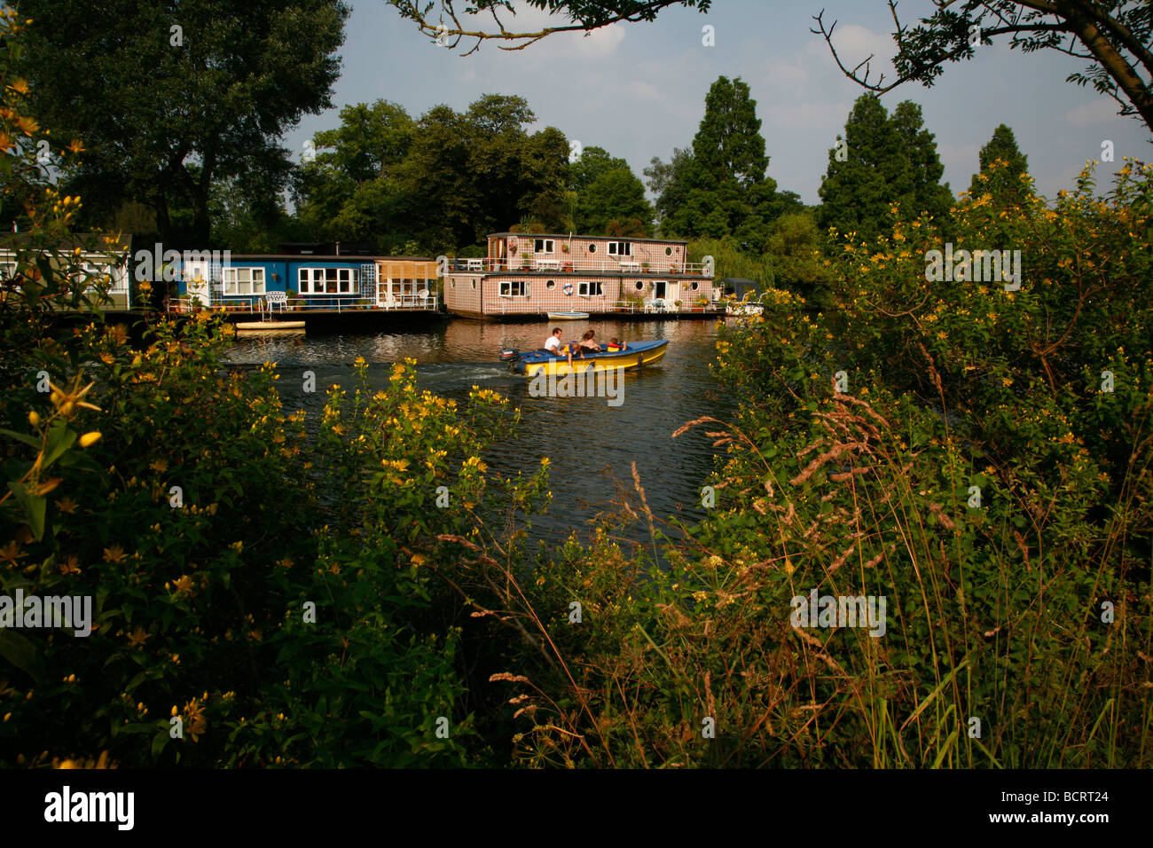 Taggs-Insel in der Mitte der Themse, East Molesey, London, UK Stockfoto Taggs-Insel in der Mitte der Themse, East Molesey, London, UK Stockfoto